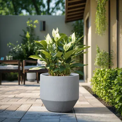 Luxenhome Minimalistic Modern Gray Round Tapered Mgo Planter, 15.7'' H