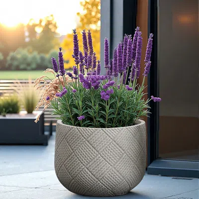 Luxenhome Misty Gray Glen Pattern Mgo Round Planter