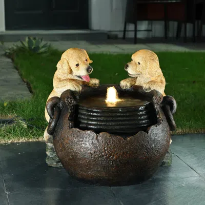 Luxenhome Playing Puppy Water Fountain With Lights, Farmhouse Resin Design In Multi