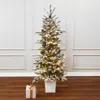 Luxenhome Pre-lit Flocked Pine Christmas Tree With  Silver Pot,5ft In Green