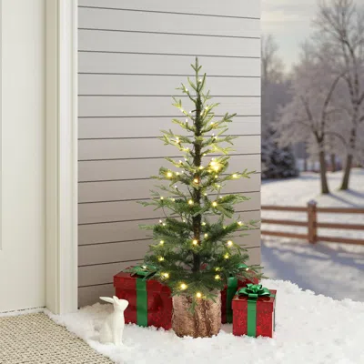 Luxenhome Pre-lit Green Evergreen Christmas Tree With Potted,3.9ft In Multi