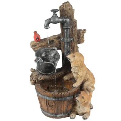 Luxenhome Puppy Fountain With Led Lights – Farmhouse Style Outdoor Decor In Multi