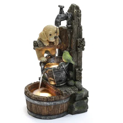 Luxenhome Puppy Patio Fountain With Led Lights- Farmhouse Style In Multi