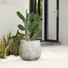 Luxenhome Rustic Multi-color Cement 14-inch Round Planter In Multi