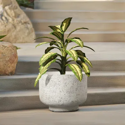 Luxenhome Rustic White With Gray Round Mgo Planter, 11.2'' H
