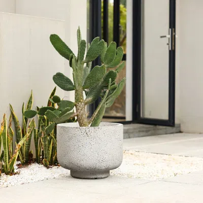 Luxenhome Rustic White With Gray Round Mgo Planter, 9.6'' H