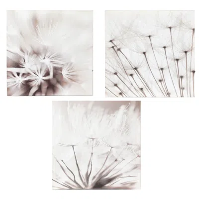 Luxenhome Set Of 3 Dandelion Lighted Canvas Prints In Multi