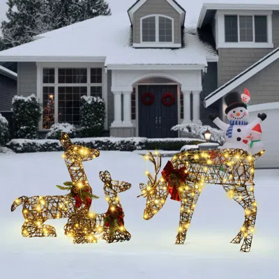 Luxenhome Set Of 3 Deer Family Lighted Holiday Decoration In Multi