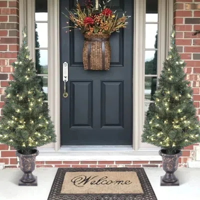Luxenhome Small Flocked Pine Pre-lit Potted Artificial Christmas Tree ,4ft -set Of 2 In Green