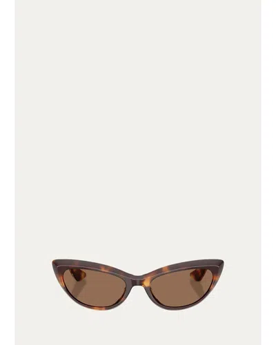 Luxottica Eyewear 1963c 53mm Cat-eye Sunglasses In Brown