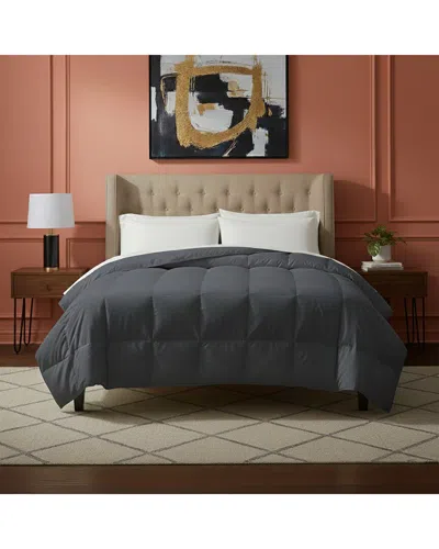 Luxury Home All Seasons Super-soft Down Alternative Comforter In Black