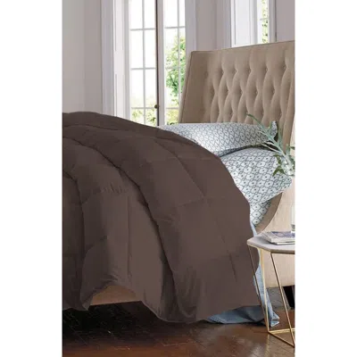 Luxury Home Solid Brown Microfiber Comforter