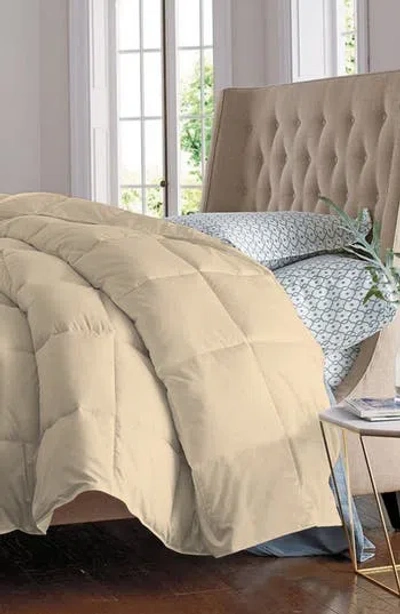 Luxury Home Solid Cream Microfiber Comforter