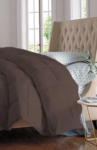 Luxury Home Solid White Microfiber Comforter In Brown