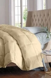 Luxury Home Solid White Microfiber Comforter In Brown