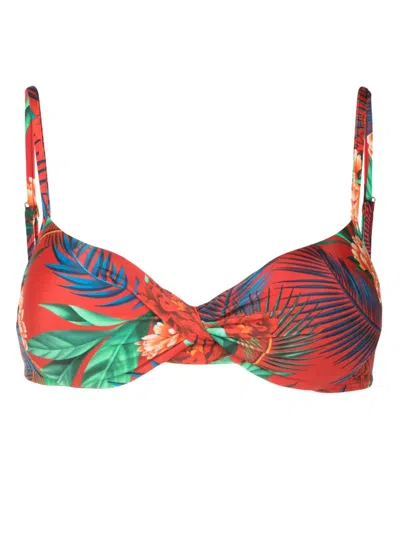 Lygia & Nanny Cassis Floral-print Bikini Top In Red
