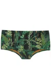 Lygia & Nanny Copacabana Leaf-print Swimming Trunks In Green