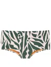 Lygia & Nanny Copacabana Leaf-print Swimming Trunks In Multicolour