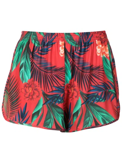 Lygia & Nanny Lee Botanical-print Mini Shorts In Red
