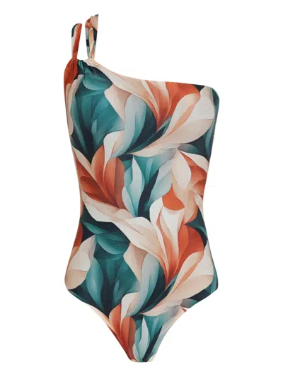 Lygia & Nanny Miusha One-shoulder Printed Swimsuit In Multi