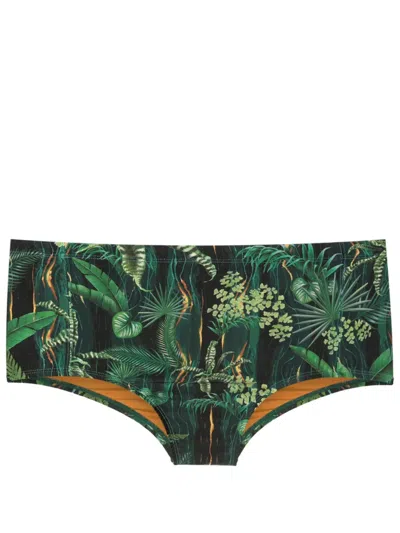 Lygia & Nanny Parati Leaf-print Swimming Trunks In Green