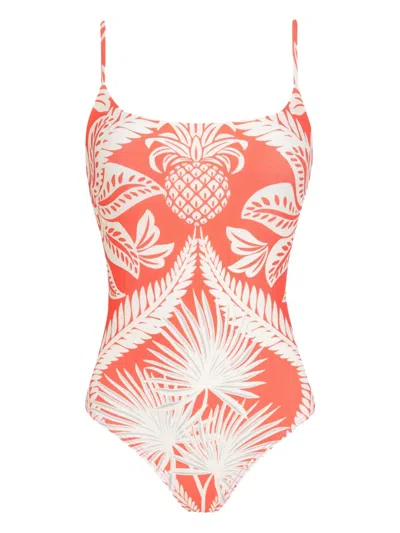 Lygia & Nanny Pineapple-print Swimsuit In Pink