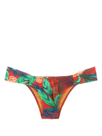 Lygia & Nanny Ritz Botanical-print Bikini Bottoms In Red