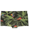 Lygia & Nanny Tijuca Graphic-print Swim Trunks In Black