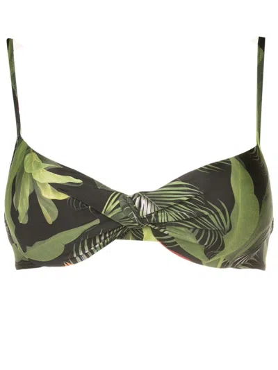 Lygia & Nanny Cassis Leaf-print Bikini Top In Green