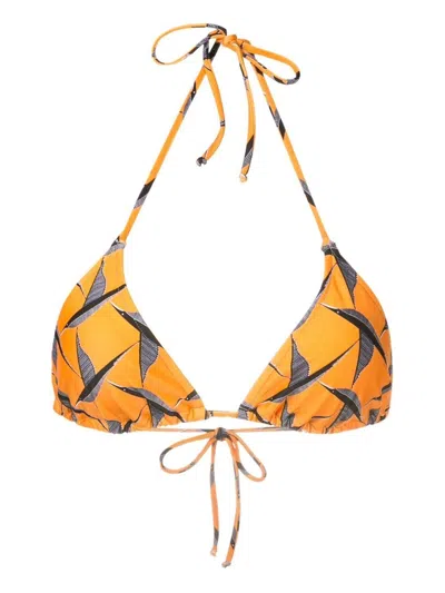 Lygia & Nanny Hanna Bird-print Bikini Top In Orange