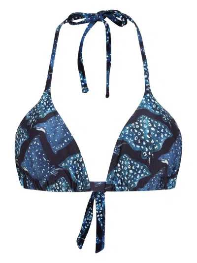 Lygia & Nanny Iasmin Bikini Top In Blue