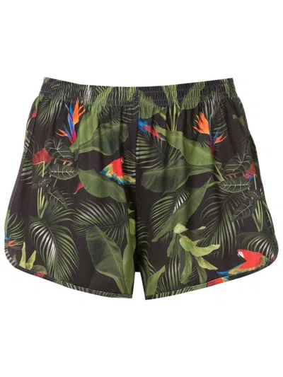 Lygia & Nanny Lee Botanical-print Shorts In Green