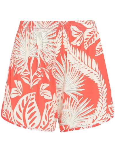 Lygia & Nanny Lee Shorts In Orange