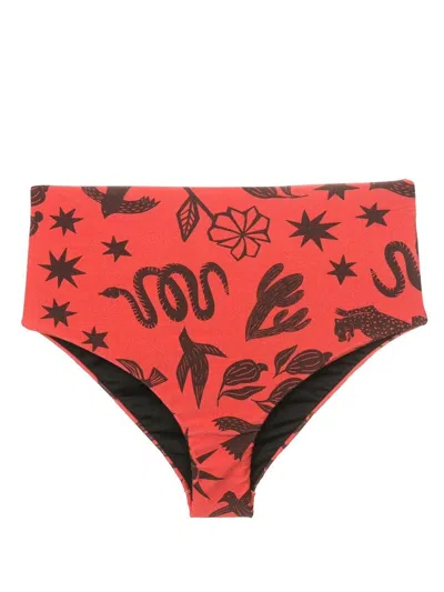 Lygia & Nanny Violeta Graphic-print Bikini Bottoms In Brown