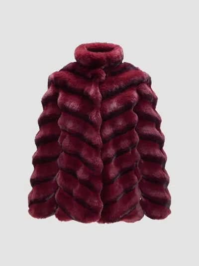 Lyla Grant Women's Faux Fur Chinchilla Jacket In Wine Chinch