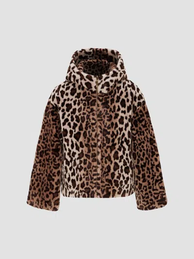 Lyla Grant Women's Faux Fur Sheared Mink Jacket, Hood In Brown Leopard
