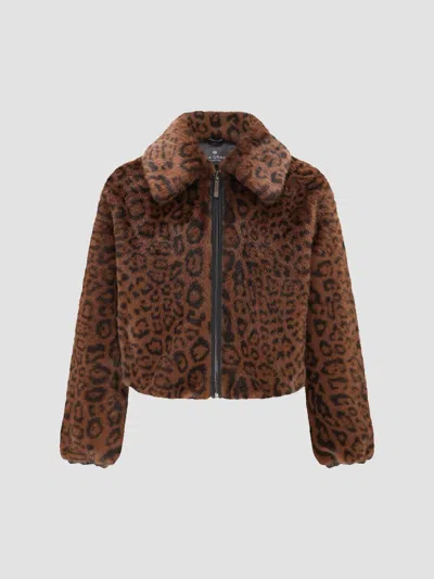 Lyla Grant Women's Mink Jacket In Dark Brown Leopard