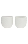 Lyngby Porcelaen Rhombe Set Of 2 Egg Cups In White