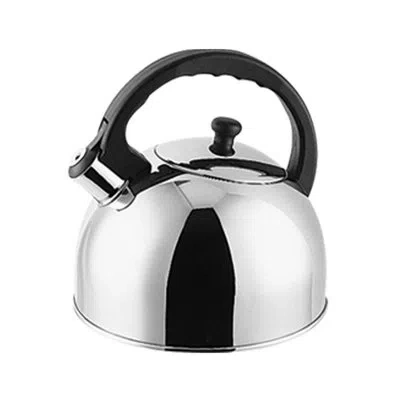 Lynns 2.5 Qt. Stainless Steel Stovetop Kettle In Silver
