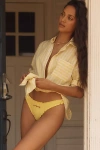 Lyrebird Embroidered Bikini Briefs In Yellow
