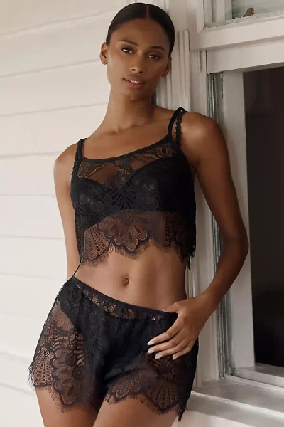 Lyrebird Lace Crop Cami In Black