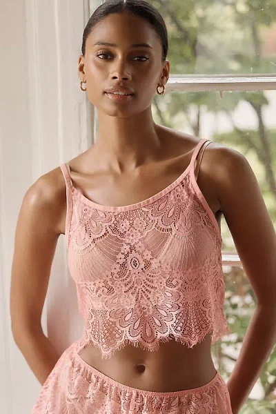Lyrebird Lace Crop Cami In Pink