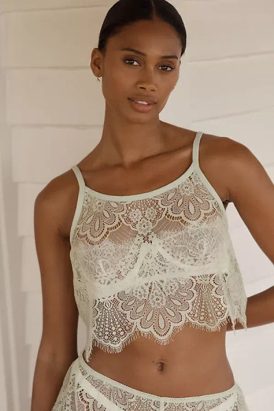 Lyrebird Lace Crop Cami In White