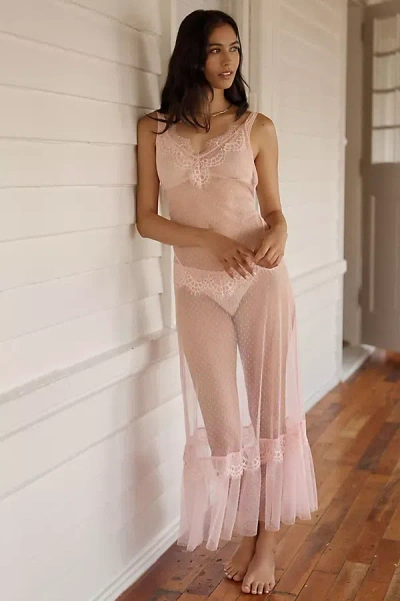 Lyrebird Mesh Lace Slip Maxi Dress In Pink