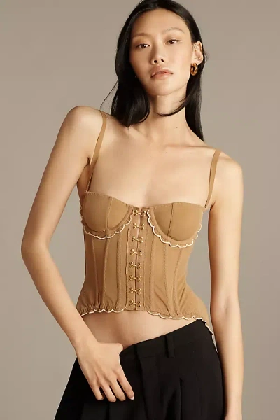 Lyrebird Sheer Drop-waist Corset In Brown
