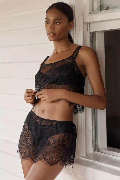 Lyrebird Sheer Lace Tap Shorts In Black