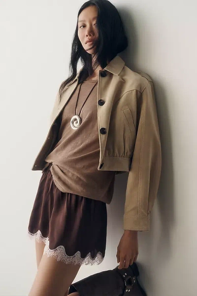 Lyrebird Silken Lace-trim Shorts In Brown