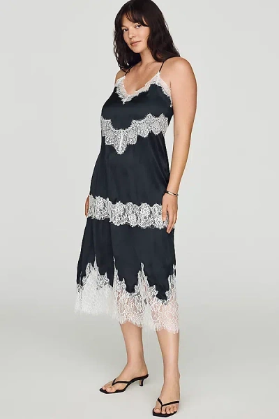 Lyrebird Silky Lace Midi Dress In Black