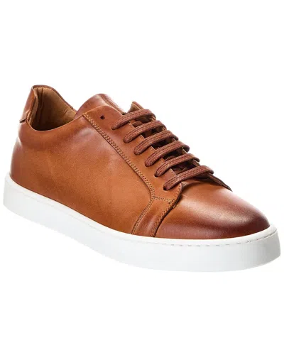 M By Bruno Magli Daniel Leather Sneaker In Brown