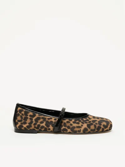 M. Gemi The Amabile In Brown